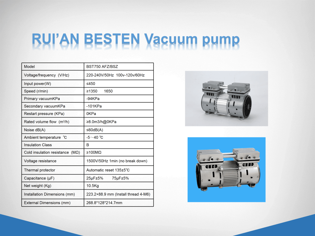 Oil free vacuum pump